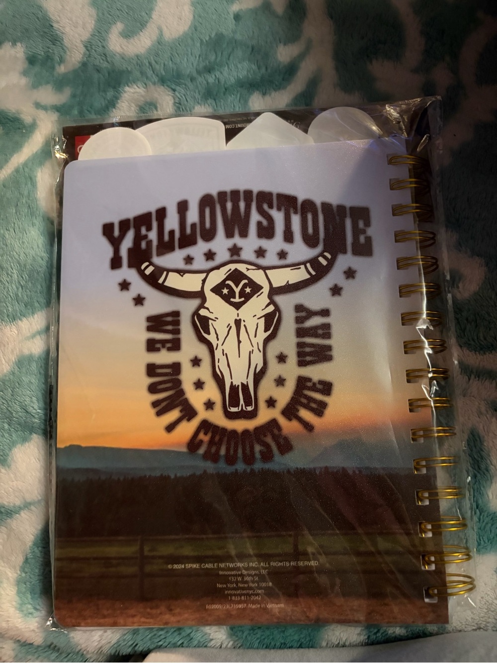 Yellowstone Journal - Picture 2 of 3